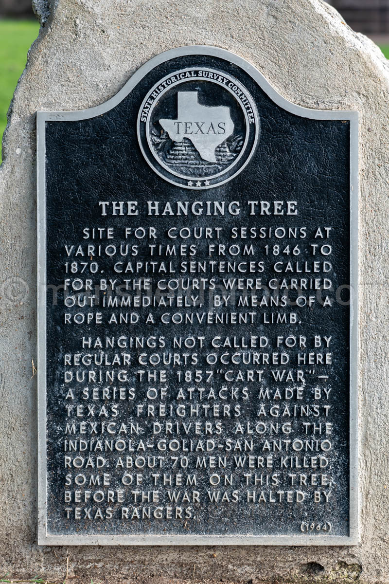 Hanging Tree In Goliad, Texas A4-36295