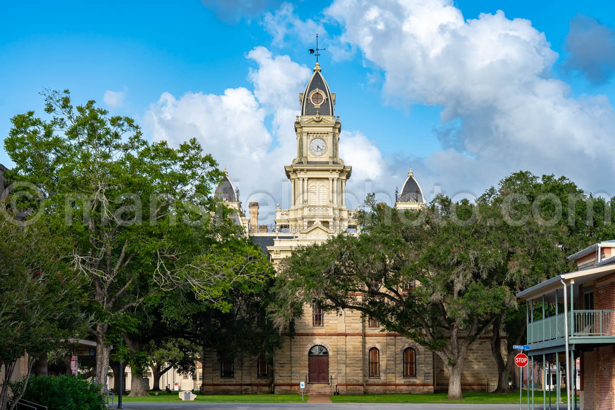 Goliad County Courthouse In Goliad, Texas A4-36306