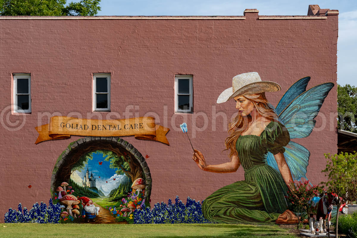 Mural In Goliad, Texas A4-36315