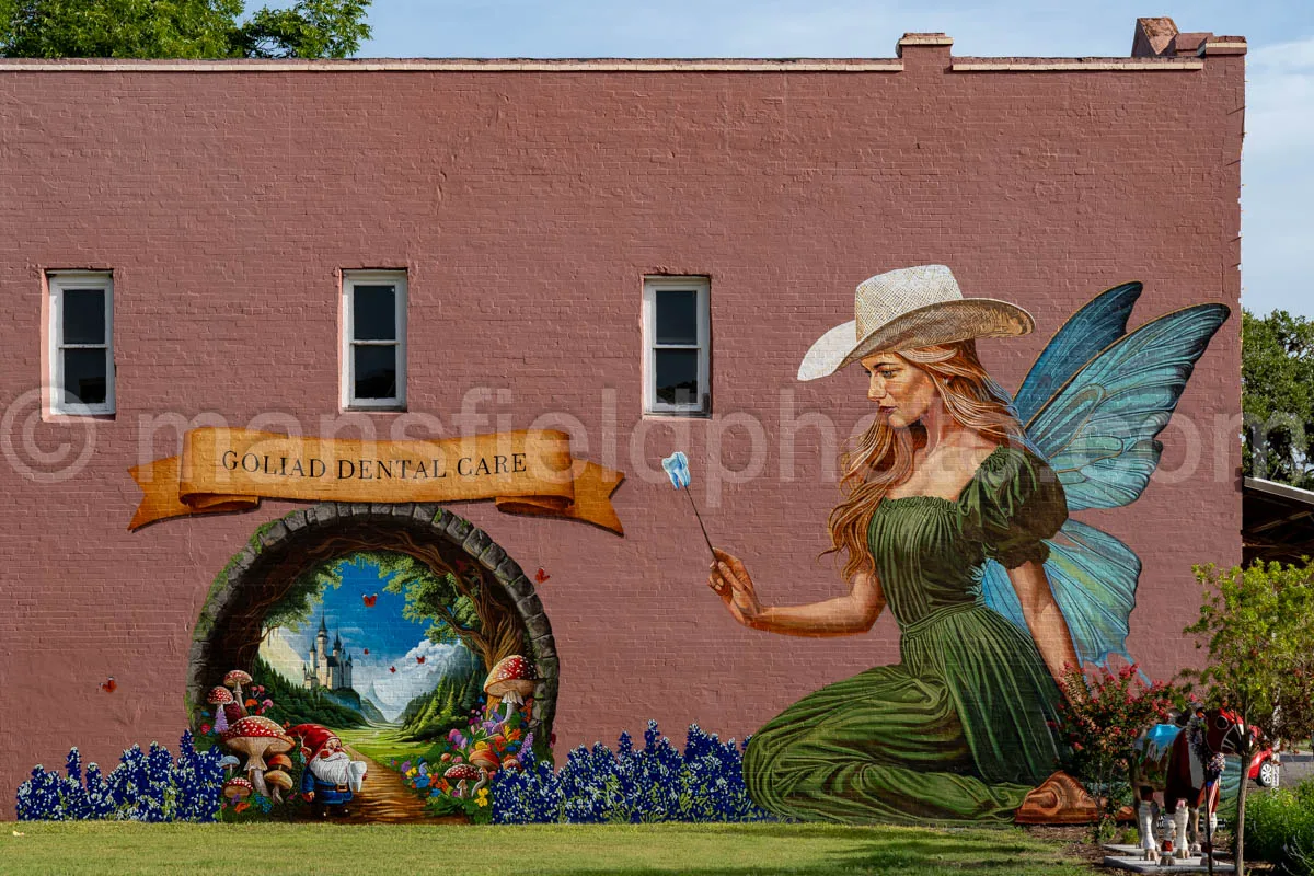 Mural In Goliad, Texas A4-36315