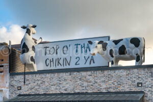 Top O Tha Chikin In Victoria, Texas A4-36343 - Mansfield Photography