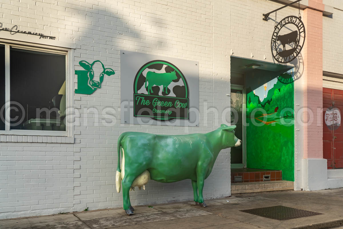 Green Cow In Victoria, Texas A4-36344