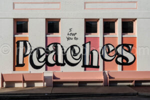 Peaches Mural In Victoria, Texas A4-36374 - Mansfield Photography