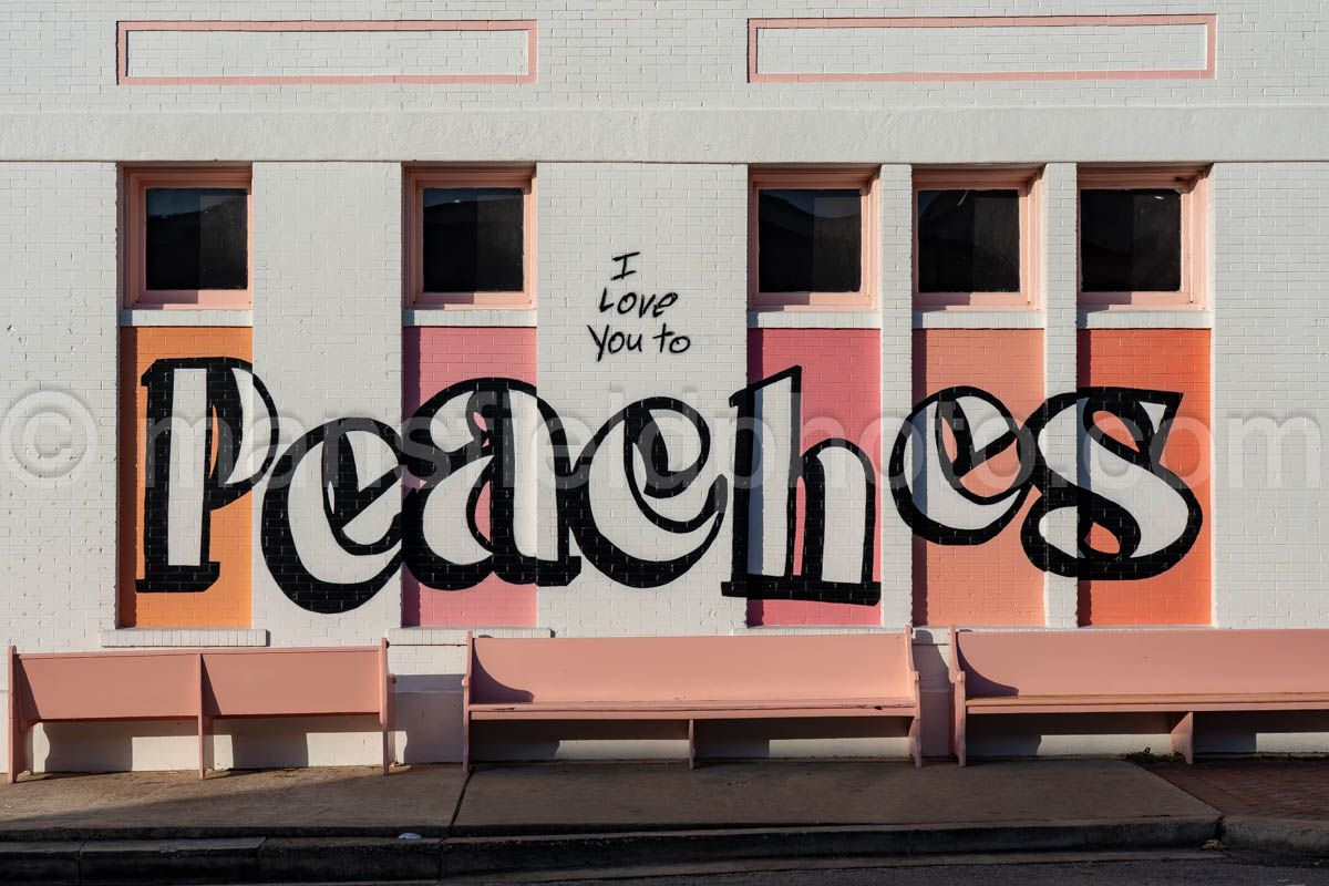 Peaches Mural In Victoria, Texas A4-36374