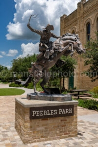 Peebles Park Statue In Cuero, Texas A4-36562 - Mansfield Photography