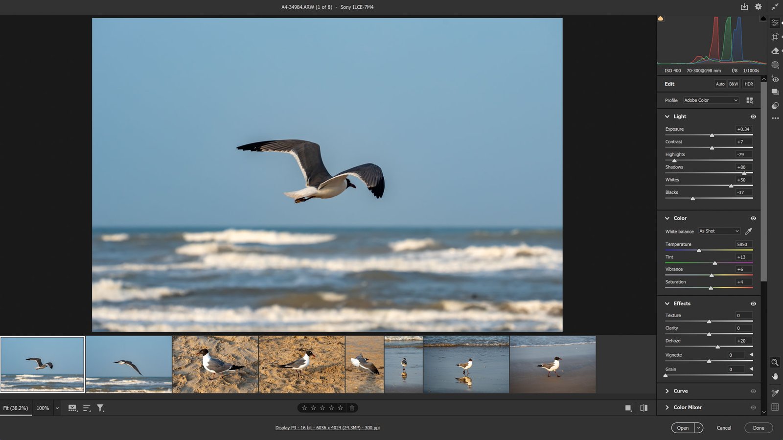 Adobe Camera Raw