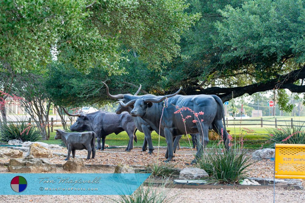 &Quot;Texas Gold&Quot; In Yoakum, Texas