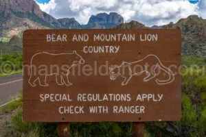 Bear And Lion Country Sign In Big Bend A4-36634 - Mansfield Photography