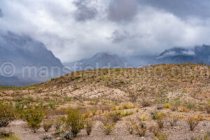 Cloudy Chisos Mountains In Big Bend A4-36691 - Mansfield Photography