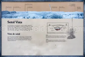 Sotol Vista Interpretive Display In Big Bend A4-36723 - Mansfield Photography