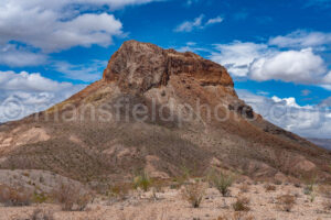 Ocotillo And Cerro Castellan In Big Bend A4-36776 - Mansfield Photography
