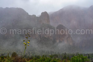 Moody Chisos Mountains - Big Bend A4-36871 - Mansfield Photography