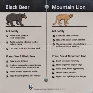 Black Bear And Mountain Lion Sign In Chisos Mountains A4-36916 - Mansfield Photography