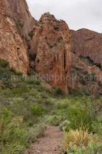 The Window Trail In Big Bend National Park A4-36922 - Mansfield Photography