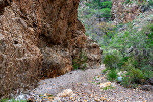 The Window Trail In Big Bend National Park A4-36923 - Mansfield Photography