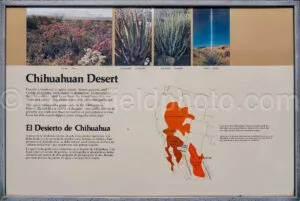 Chihuahuan Desert Interpretive Display In Big Bend A4-37026 - Mansfield Photography