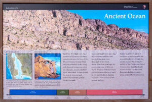 Ancient Ocean Interpretive Display In Big Bend A4-37088 - Mansfield Photography