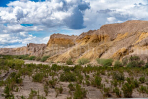 Tornillo Creek In Big Bend National Park A4-37090 - Mansfield Photography