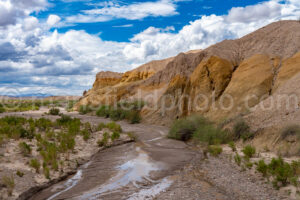Tornillo Creek In Big Bend National Park A4-37095 - Mansfield Photography