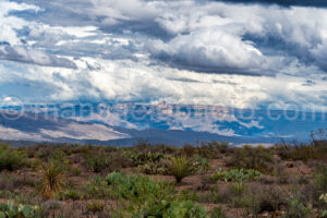Sierra Del Carmen In Big Bend National Park A4-37100 - Mansfield Photography