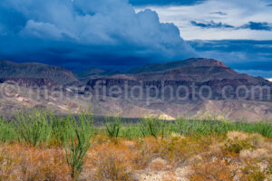 Big Bend National Park A4-37130 - Mansfield Photography