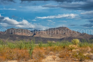 Big Bend National Park A4-37152 - Mansfield Photography