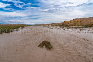 Tornillo Creek With Water In Big Bend A4-37334 - Mansfield Photography