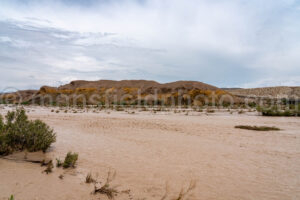 Tornillo Creek With Water In Big Bend A4-37336 - Mansfield Photography