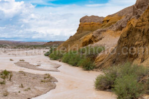 Tornillo Creek With Water In Big Bend A4-37340 - Mansfield Photography