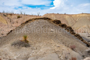 Big Bend National Park A4-37368 - Mansfield Photography
