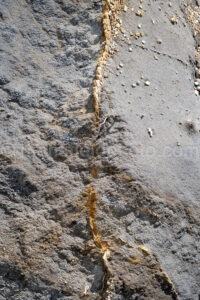 Big Bend National Park A4-37370 - Mansfield Photography