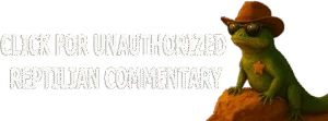 Mansfield-Photography-Lizard-Commentary