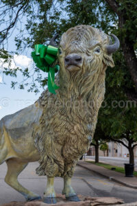 Buffalo Statue In Snyder, Texas A4-37490 - Mansfield Photography
