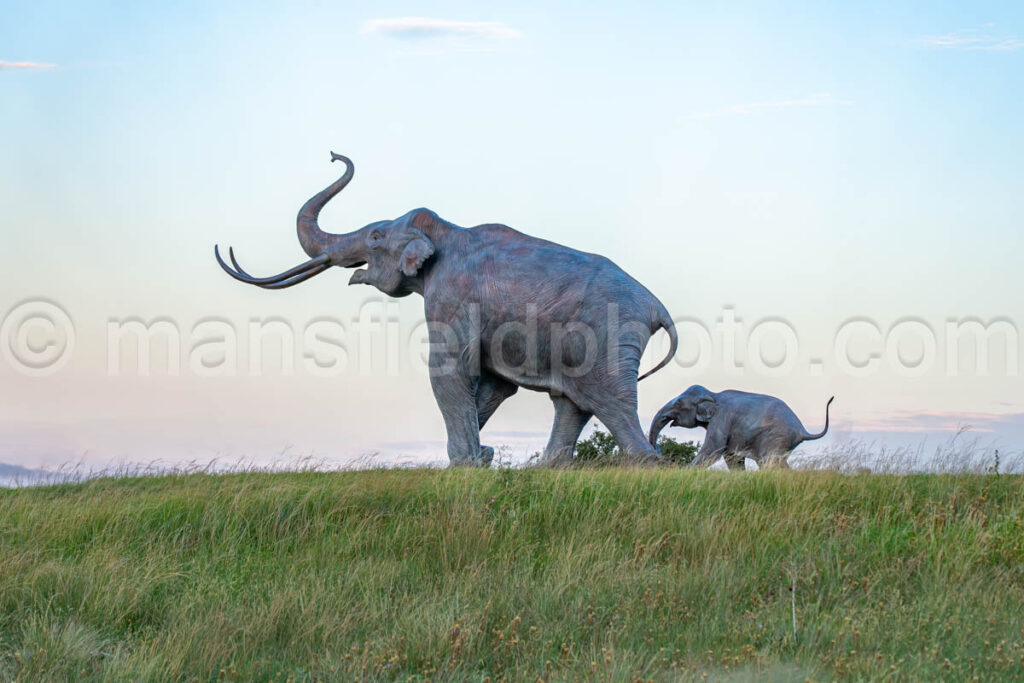 Mammoth Statue In Lubbock, Texas A4-37618 - Mansfield Photography