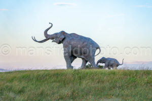 Mammoth Statue In Lubbock, Texas A4-37618 - Mansfield Photography
