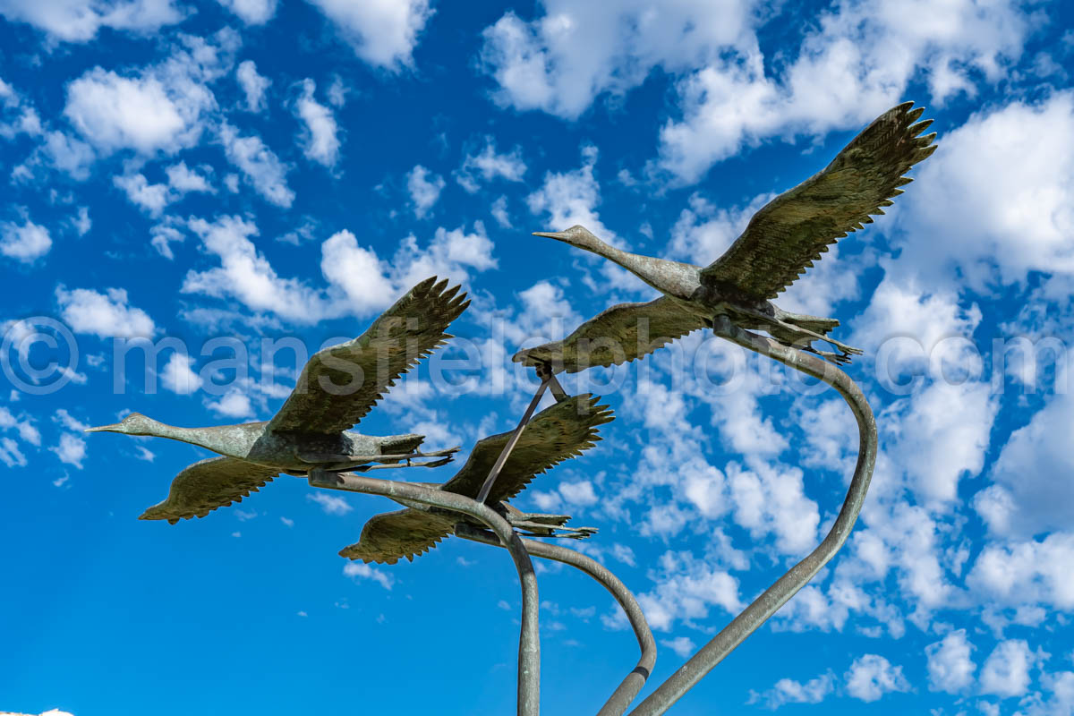 Bird Statue In Tahoka, Texas A4-37638