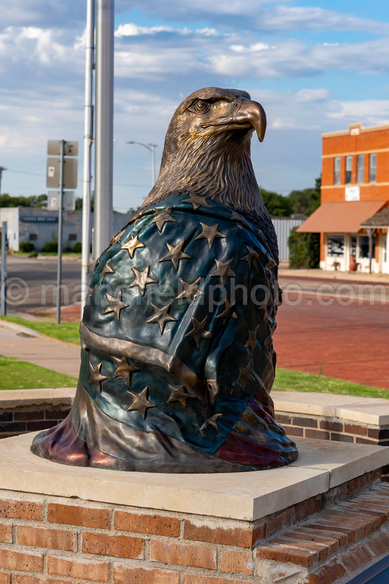 Eagle Statue In Tahoka, Texas A4-37645