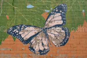 Butterfly Mural In Levelland, Texas A4-37718 - Mansfield Photography