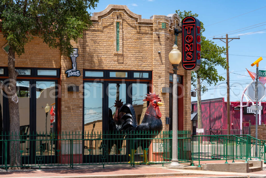Lubbock, Texas A4-37747 - Mansfield Photography
