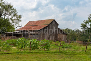 Barn At Sauer-Beckmann Farm A4-37952 - Mansfield Photography