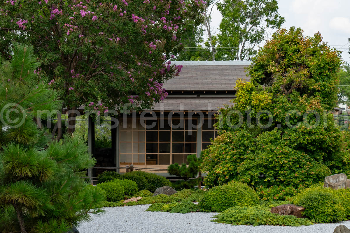 Japanese Garden of Peace in Fredericksburg, Texas A4-38029
