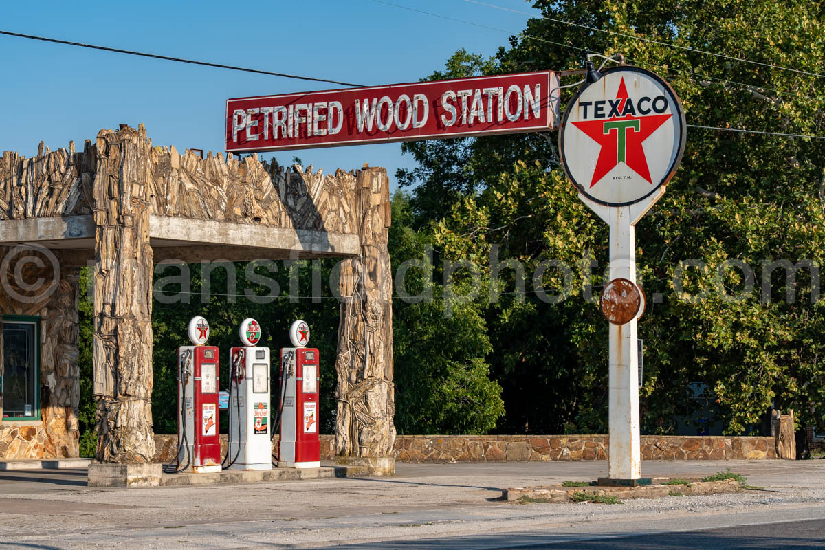 Petrified Wood Station In Decatur, Texas A4-38459