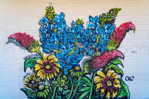 Mural In Van Alstyne, Texas A4-38506 - Mansfield Photography