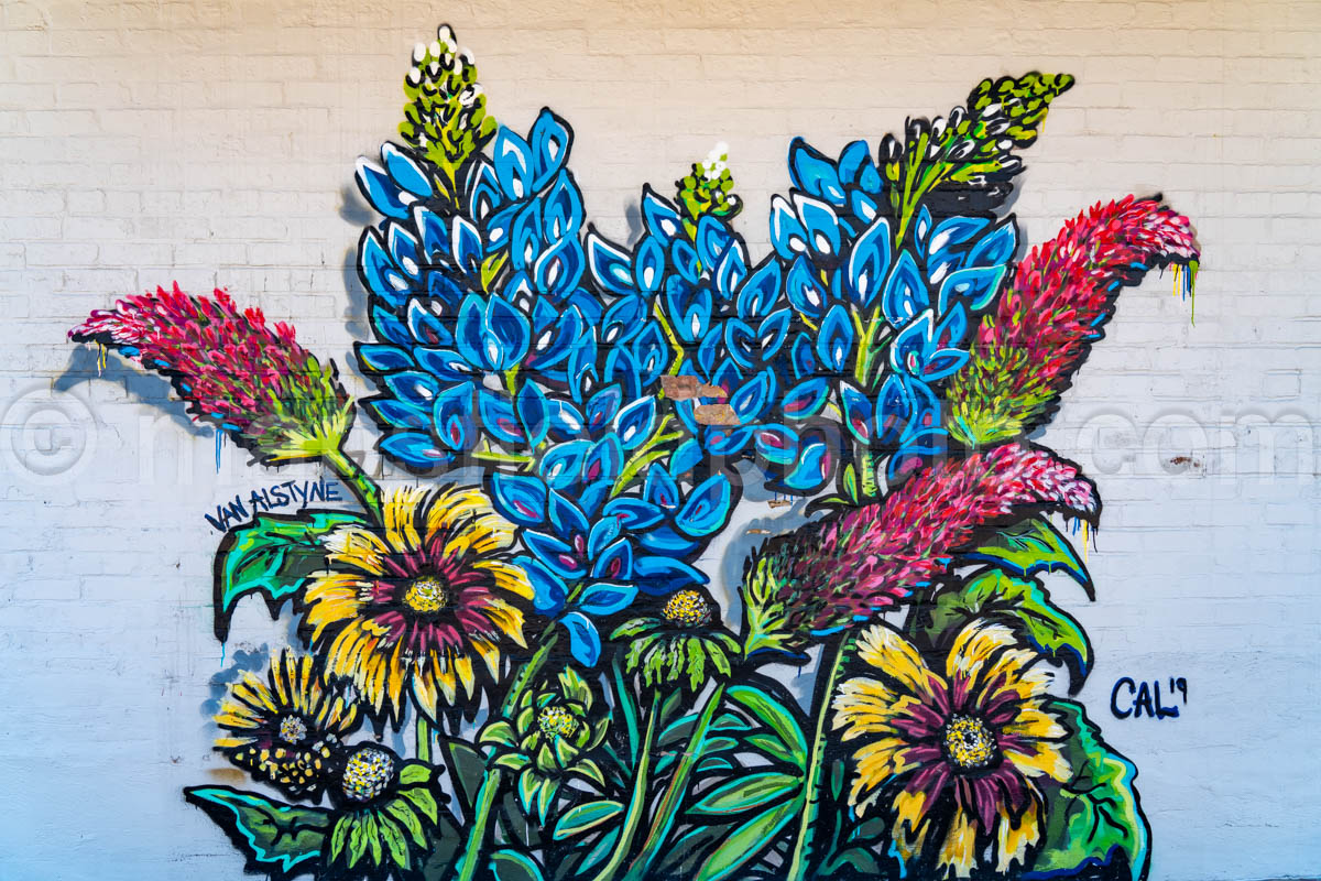 Mural In Van Alstyne, Texas A4-38506