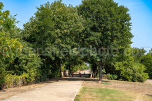 Campion Trail A4-38539 - Mansfield Photography
