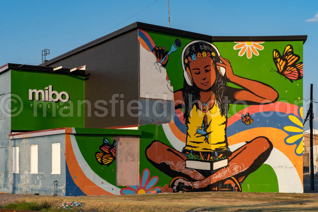 Mural At Mibo Fresh Foods A4-38610 - Mansfield Photography