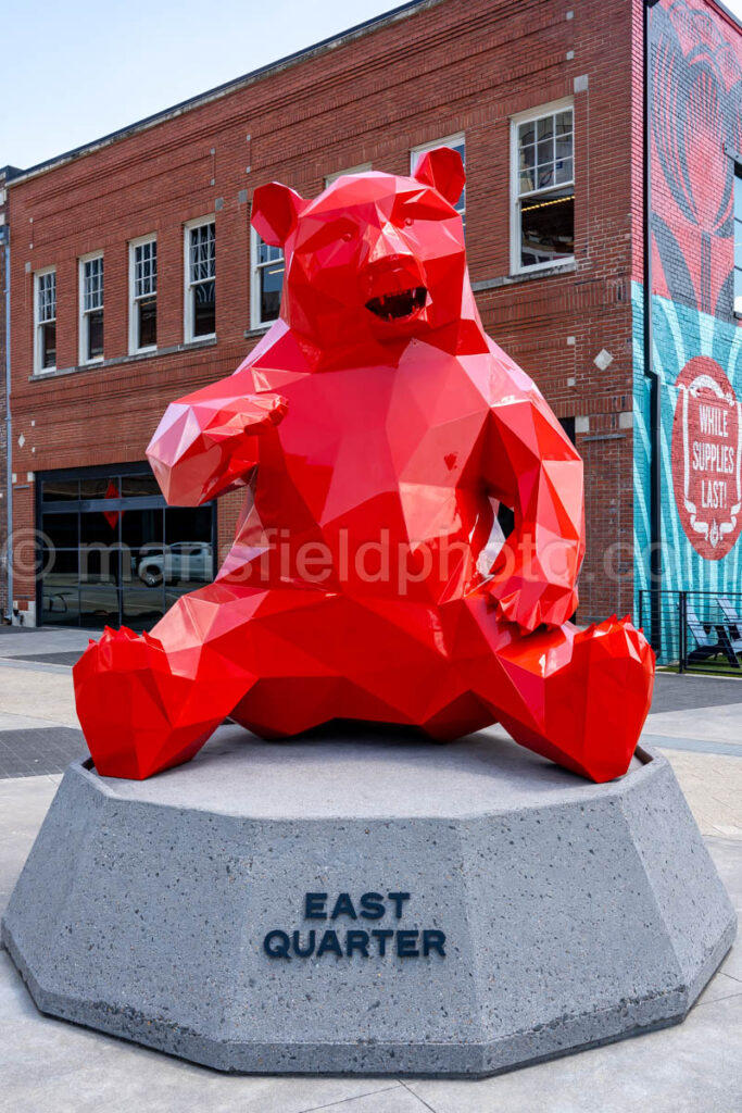 East Quarter Bear In Dallas, Texas A4-38650 - Mansfield Photography