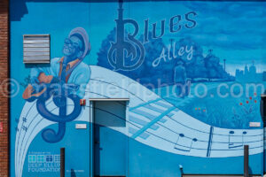 Blues Alley Mural In Deep Ellum, Dallas, Texas A4-38657 - Mansfield Photography