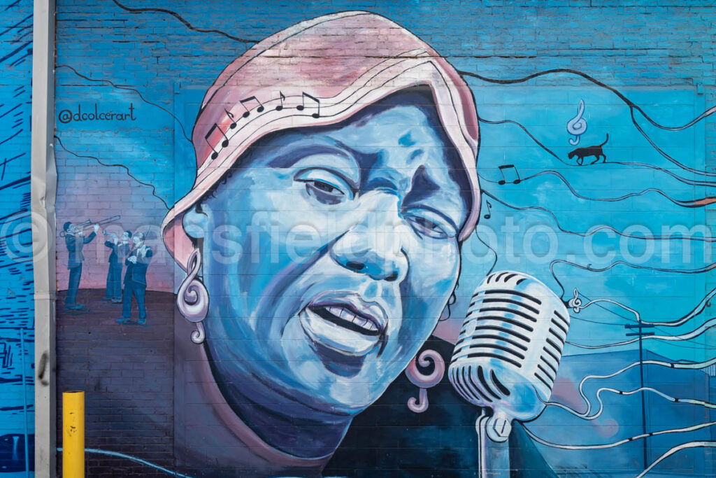 Blues Alley Mural In Deep Ellum, Dallas, Texas A4-38662 - Mansfield Photography
