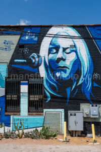 Blues Alley Mural In Deep Ellum, Dallas, Texas A4-38667 - Mansfield Photography